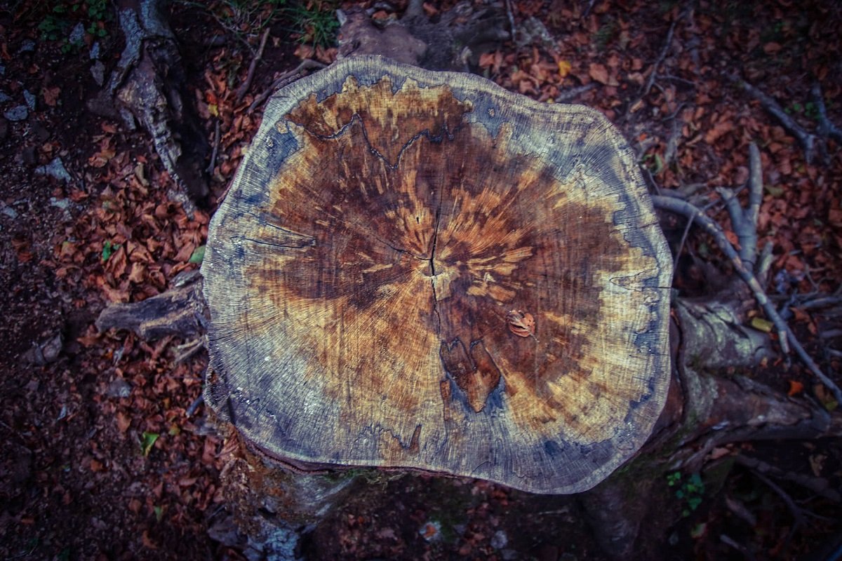 310730279_825148565590583_5265194278618296842_n1200