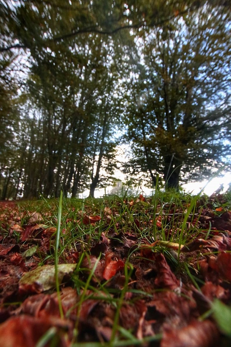 311987307_477048094445210_4690074035582590508_n1200