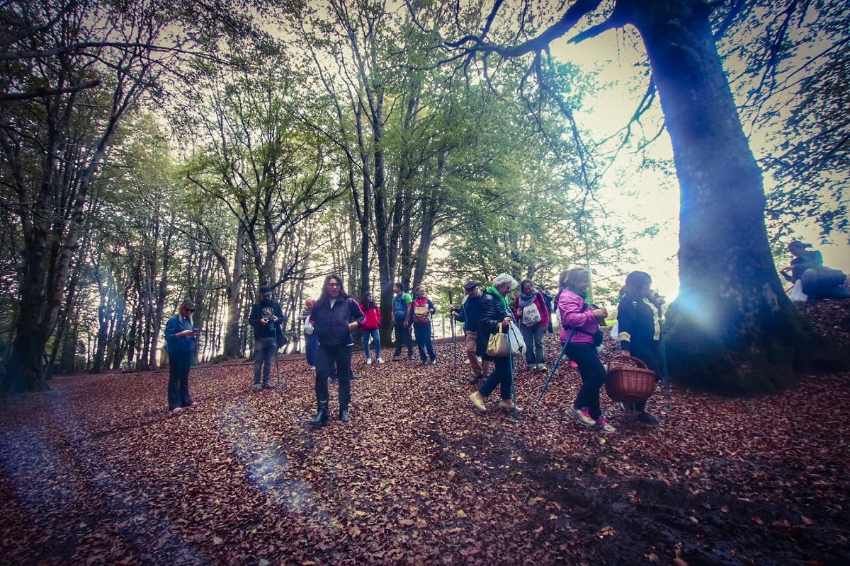 312280808_668259274915045_1452586314414308157_n1200