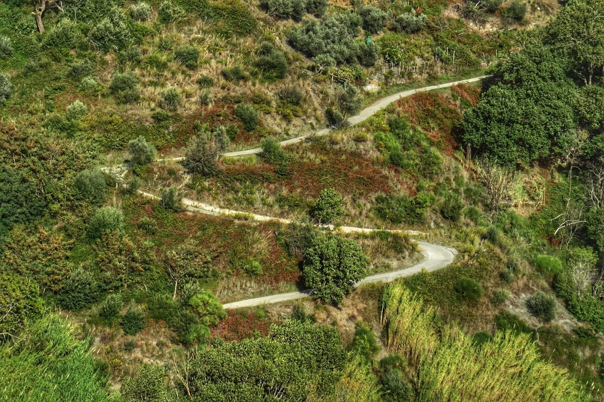 313095506_647465590385492_244132844903613671_n.1200jpg