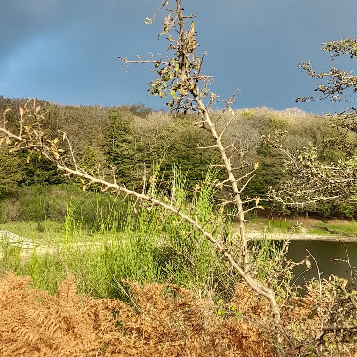 eb0330b6-05a9-4ccc-a9c8-ad4cdd4b378c1200